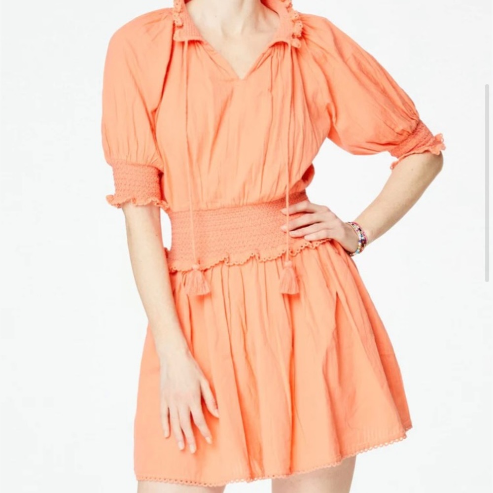 Roller Rabbit Seersucker Fiorella dress